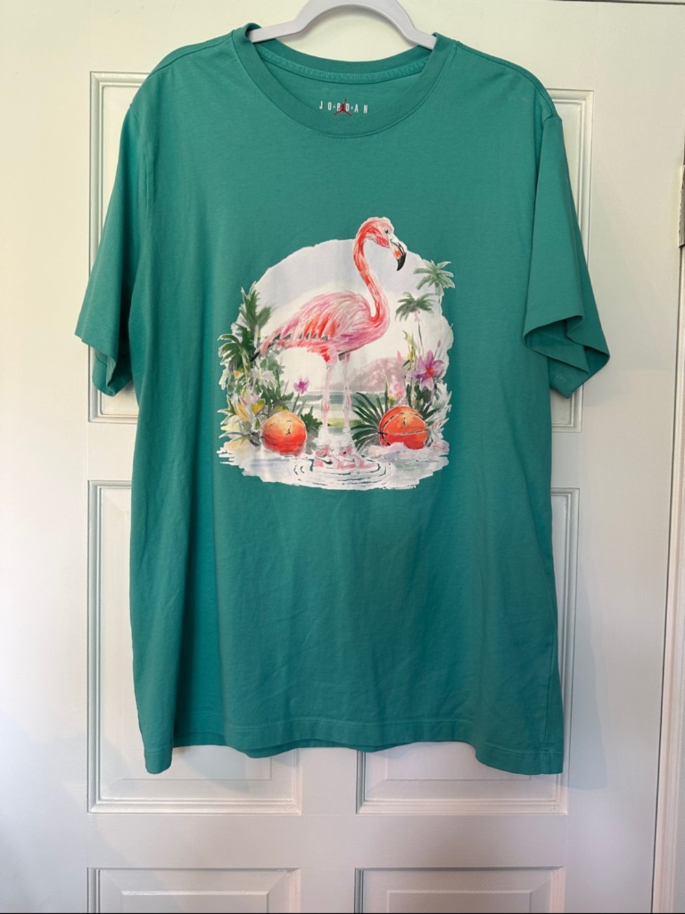 Jordan Short Sleeve Teal Flamingo Tee  with Red Logo Size XL
